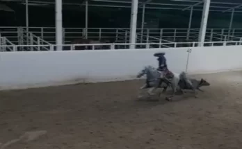 Día del Charro