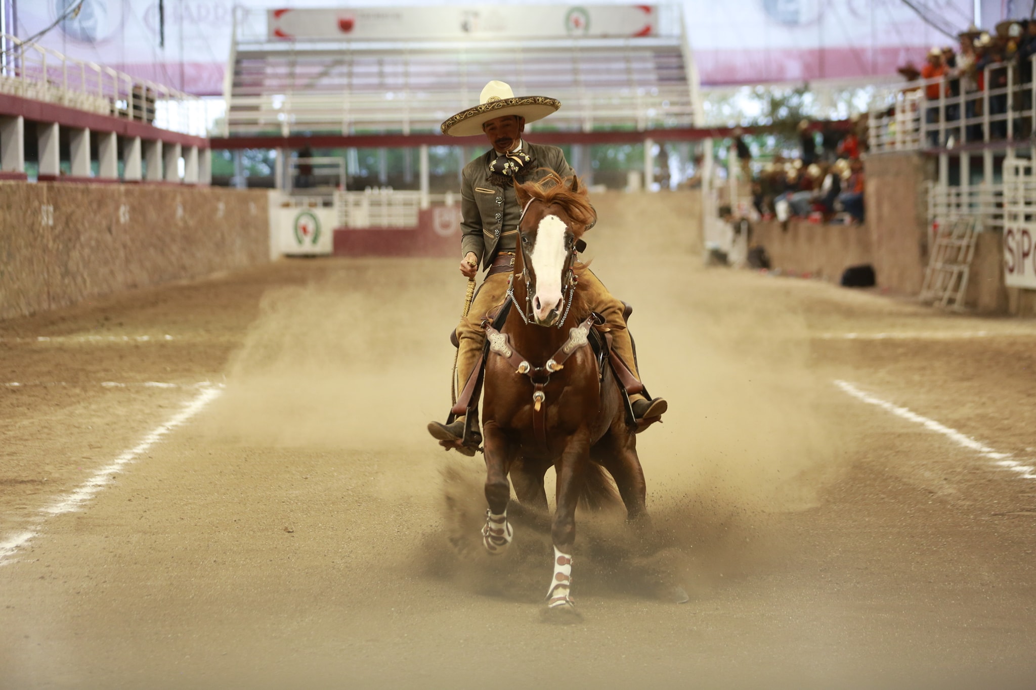 Rancho El Quevedeño