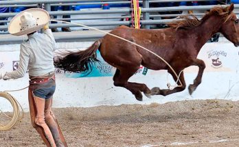 Charros Completos