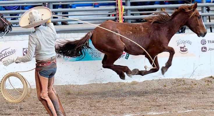 Charros Completos