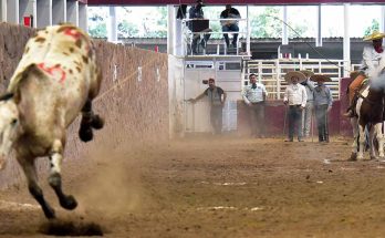 Jesús Antonio Villaverde Viñuela, Rancho La Biznaga Oro San Agustín, Zacatecas 2022