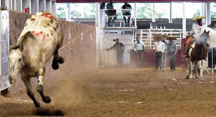 Jesús Antonio Villaverde Viñuela, Rancho La Biznaga Oro San Agustín, Zacatecas 2022