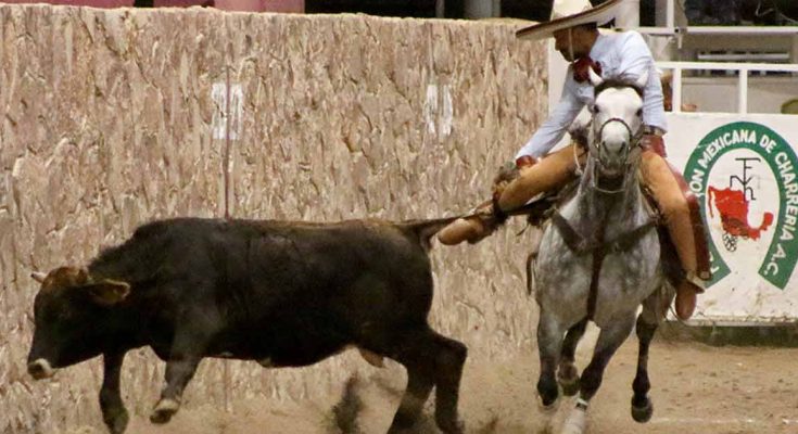 José Antonio Mora, Zacatecas 2022