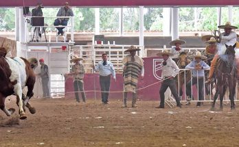 Rancho El Fénix, Ceín Martínez, Zacatecas 2022