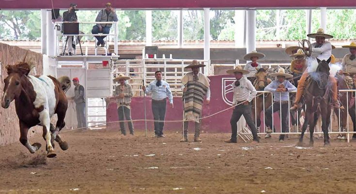 Rancho El Fénix, Ceín Martínez, Zacatecas 2022