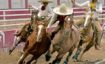 Rancho El Salitre, Zacatecas 2022