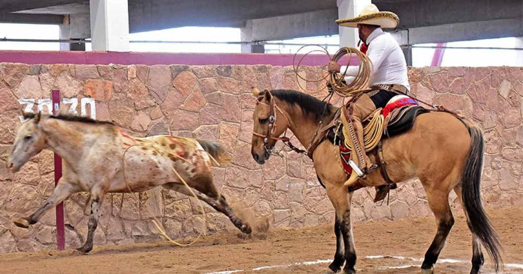 Rinconada de Frontera, Zacatecas 2022