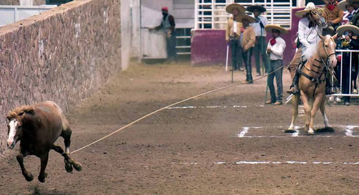 Triángulo de los Arenas, Zacatecas 2022