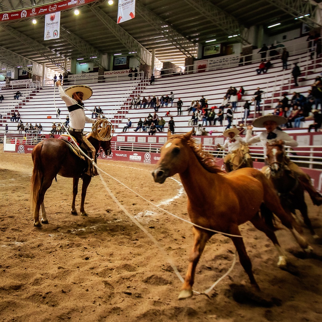 José Luis Gurrola, Zacatecas 2022