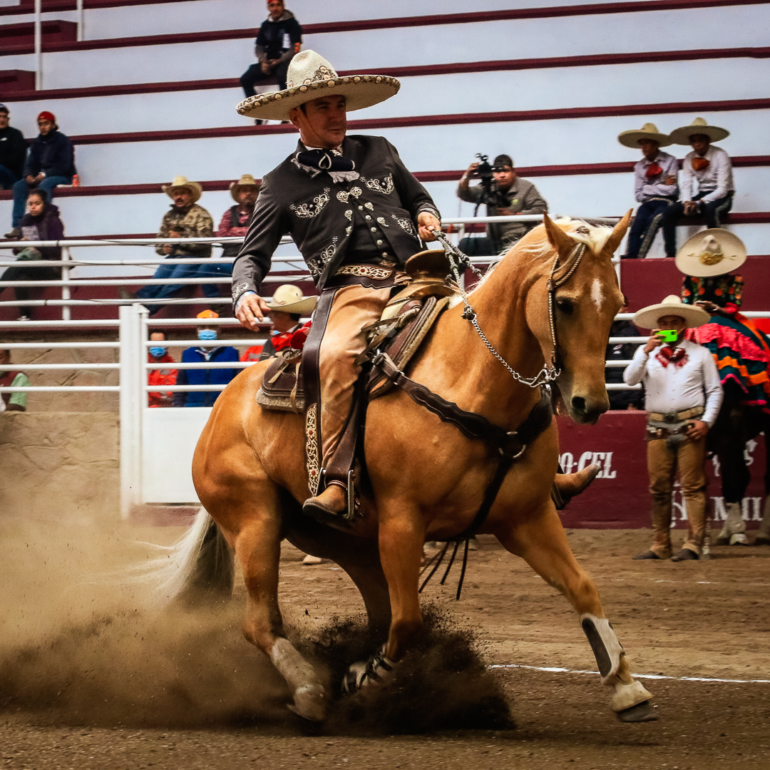 Manuel Bermúdez Albores, Zacatecas 2022