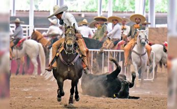 Tequila Cuadra, Zacatecas 2022