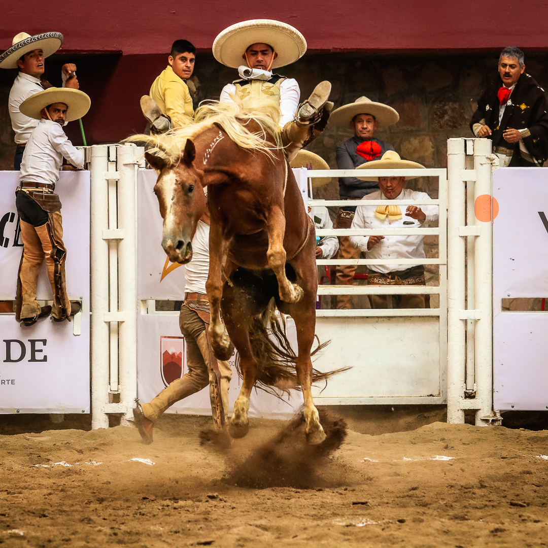 Zamir Magaña, Zacatecas 2022