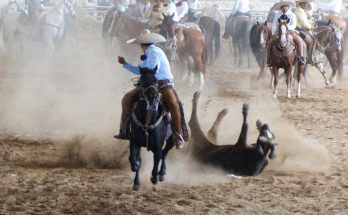 Circuito Charros de Corazón, Ganadería FEREDUCAM