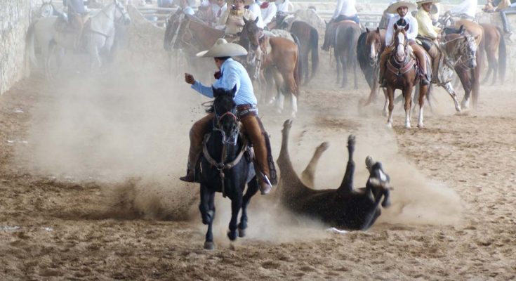 Circuito Charros de Corazón, Ganadería FEREDUCAM