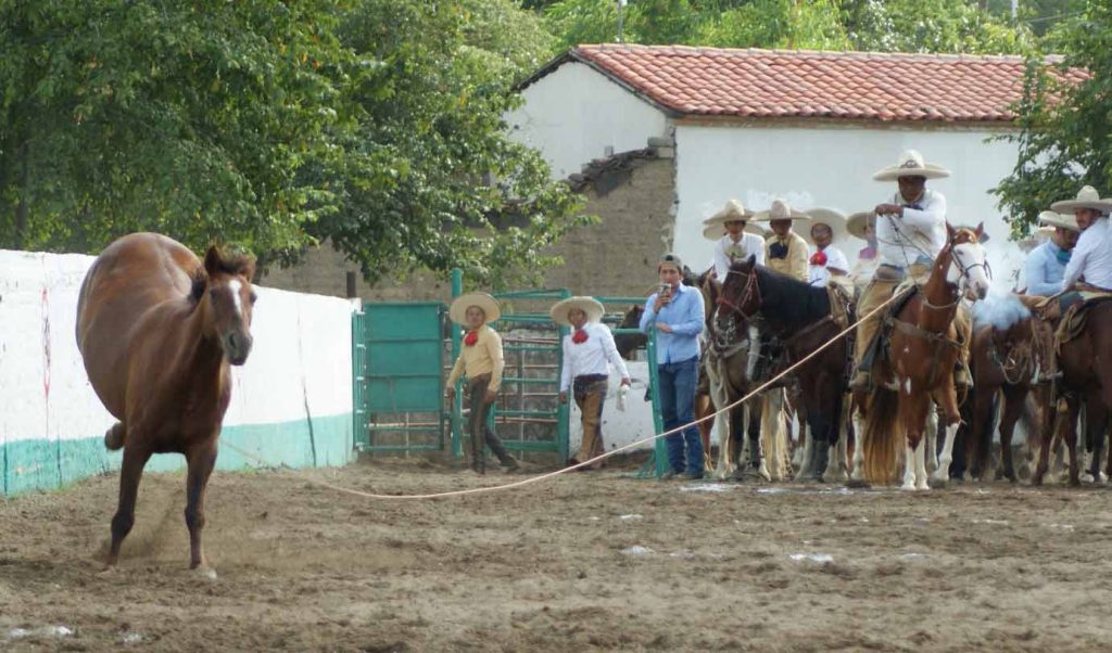 Rancho Najchajcal