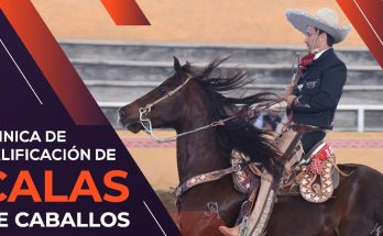 Habrá Clínica de Calificación de Calas de Caballos