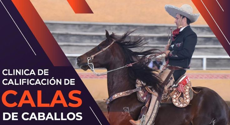 Habrá Clínica de Calificación de Calas de Caballos