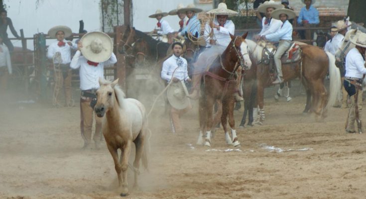 Rancho Don Juan, San Pedro Buenavista