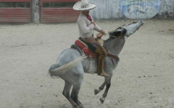 Circuito Charro Ruta del Café, Charros de Yajalón