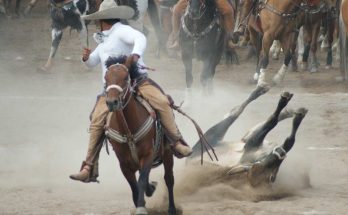 Rancho El Fénix, Estatal 2023