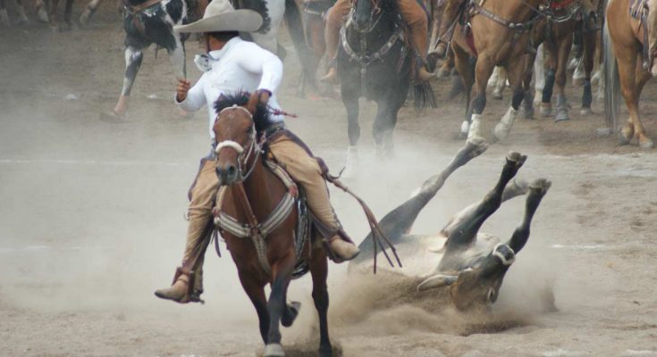 Rancho El Fénix, Estatal 2023