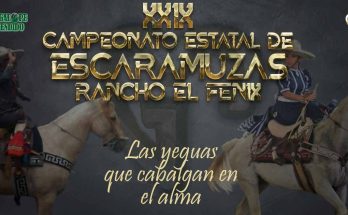 Yeguas que no llegan al XXIX Campeonato Estatal de Escaramuzas 2023