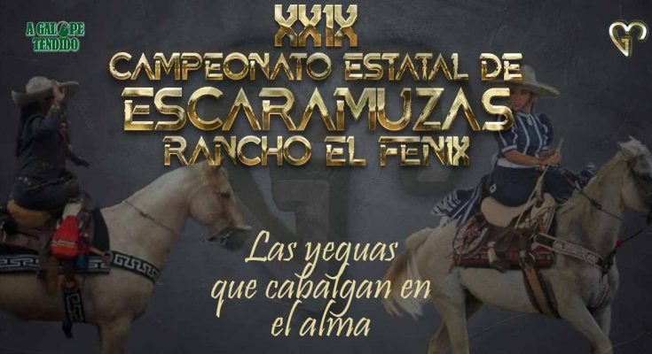 Yeguas que no llegan al XXIX Campeonato Estatal de Escaramuzas 2023