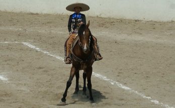 Juveniles de Chiapas