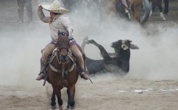 San Luis Potosí 2023, II Pre Estatal 2023