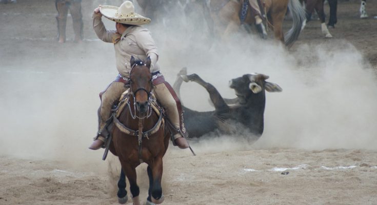 San Luis Potosí 2023, II Pre Estatal 2023