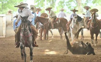 Campeonato Regional 2023, Zona 2