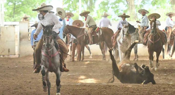 Campeonato Regional 2023, Zona 2