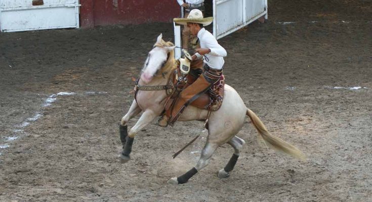 PRADO VERDE, TORNEO SAN ISIDRO LABRADOR 2023