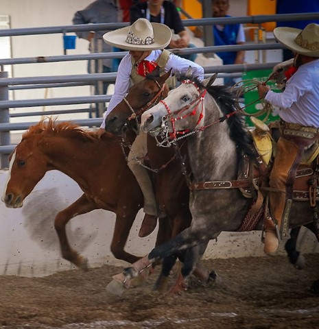 Paso de la muerte, Juegos Nacionales CONADE 2023