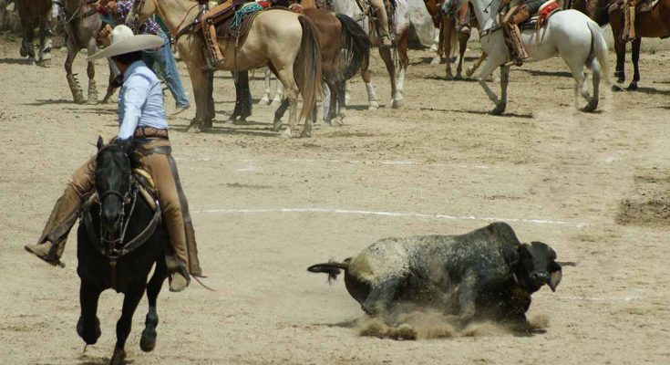 Charros de Villahermosa, Yajalón