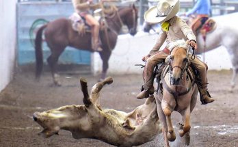 Nacionalito 2023, listas las finales en Dientes de Leche