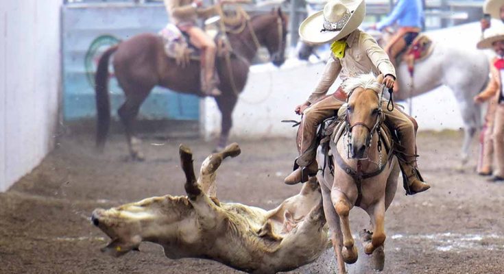 Nacionalito 2023, listas las finales en Dientes de Leche