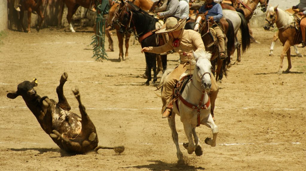 Oscar Victoria, Yajalón