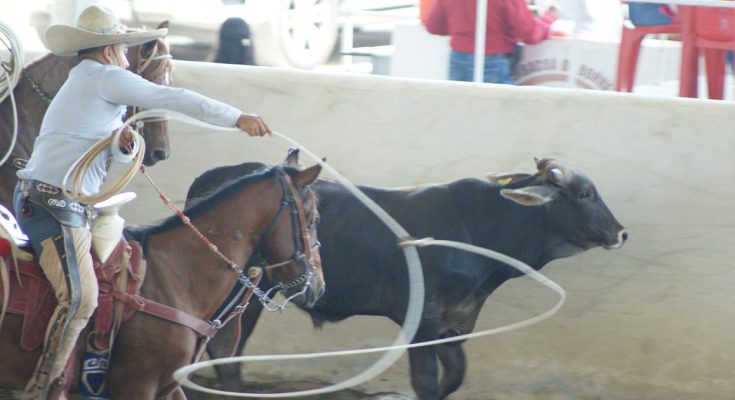 Circuito Millonario AA, octava fase