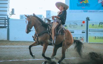 Juveniles de Chiapas