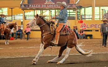 Mauricio Ríos, Campeonato Millonario 2023