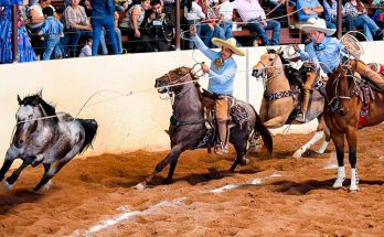 Campeonato Nacional Centenario 2023