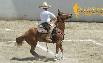 Circuito Millonario AA, Ganadería FEREDUCAM, fase nueve