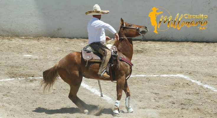 Circuito Millonario AA, Ganadería FEREDUCAM, fase nueve