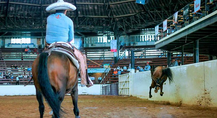 Rancho San José, Campeonato Nacional Centenario 2023