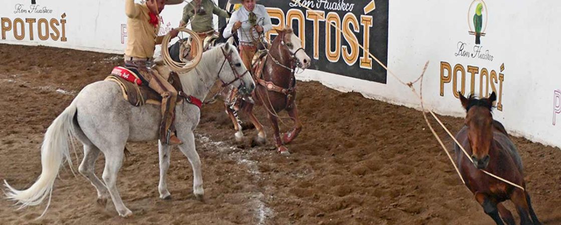 Rancheros de Tijuana, Nacional Charro Mayor 2023