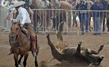 Rancho las Tres M, Nacional 2023, San Luis Potosí