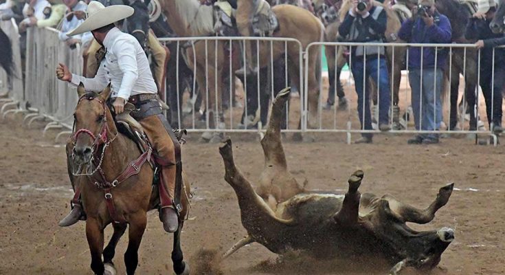 Rancho las Tres M, Nacional 2023, San Luis Potosí