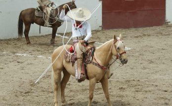 Hacienda Santa TEresa, campeones 2023, torneo en honor a la virgen de guadalupe