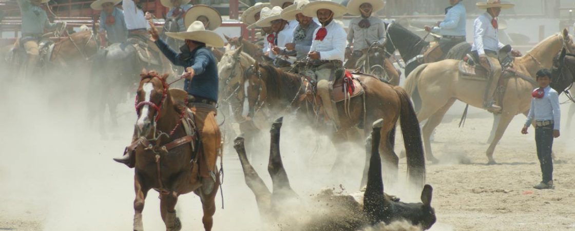 Agenda 2024, torneos charros y escaramuzas más importantes